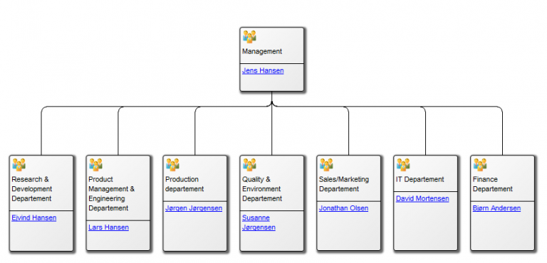 Organization Diagram Qualiware Center Of Excellence 1695